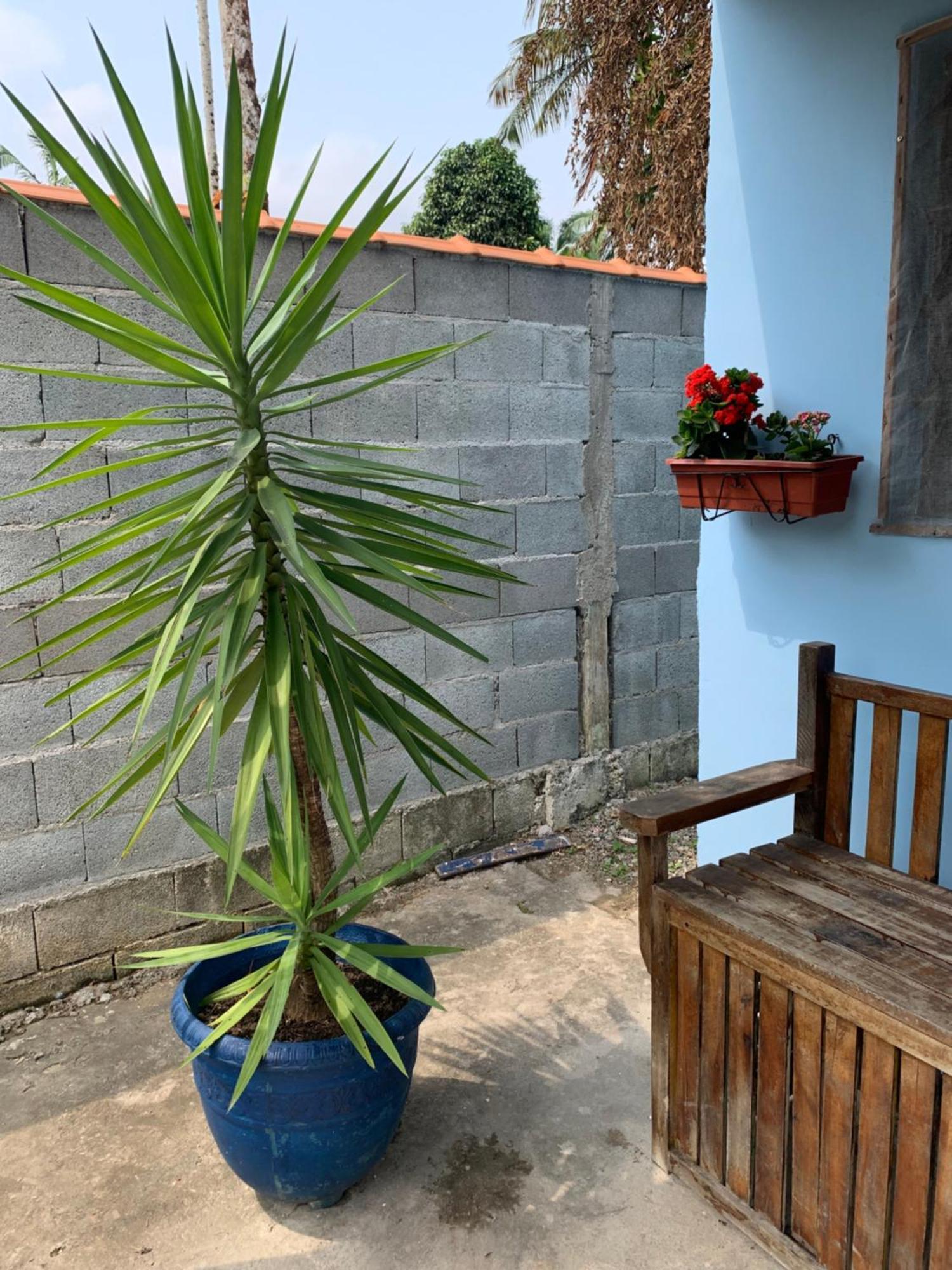 Casa Litoral Sul De Sao Paulo, Peruibe Villa Itariri Eksteriør bilde